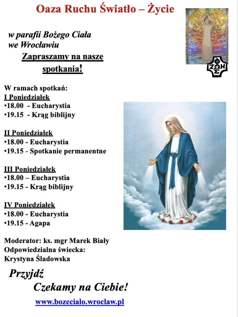 Oaza dla dorosłych - informacje